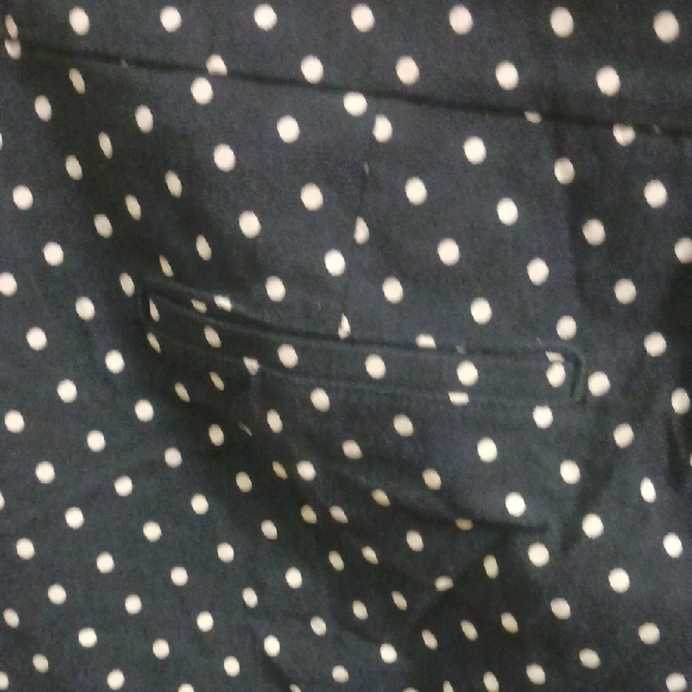 Charter Club Navy Polka Dot Capris - Picture 8 of 9